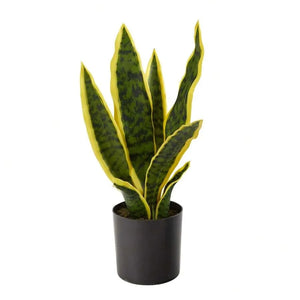 Artificial Snake Plant in White Pot – Faux Sansevieria Trifasciata Indoor Potted Plant for Home, Office, Bedroom & Modern Décor