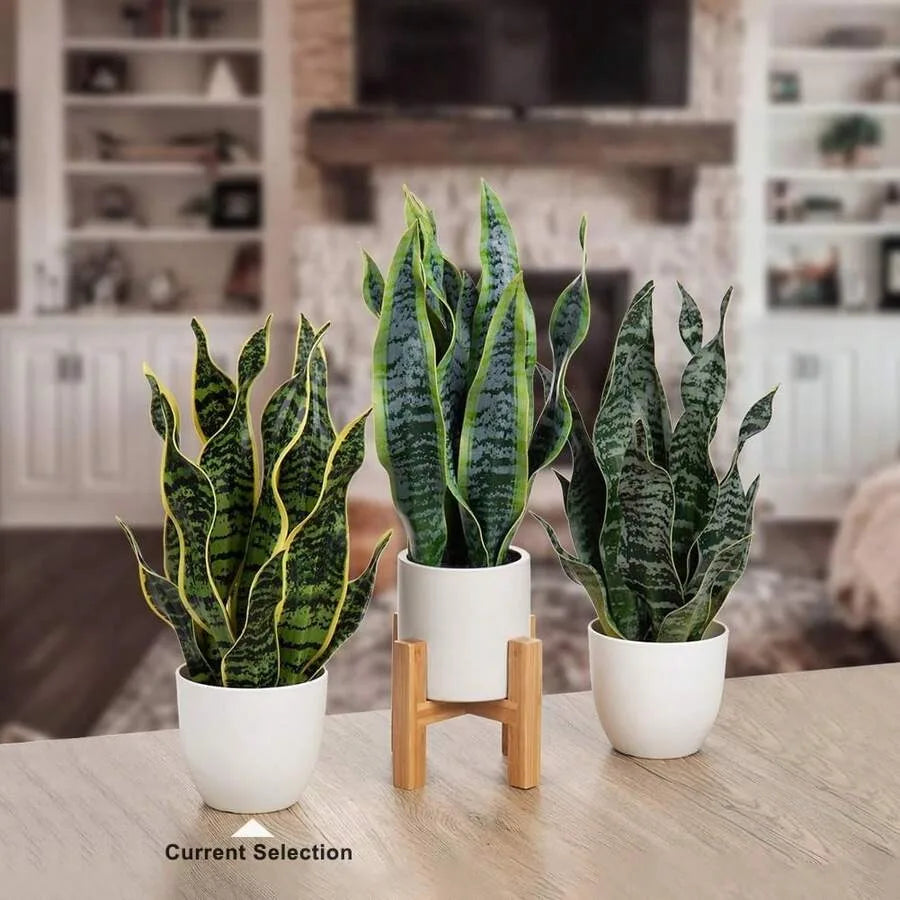 Artificial Snake Plant in White Pot – Faux Sansevieria Trifasciata Indoor Potted Plant for Home, Office, Bedroom & Modern Décor