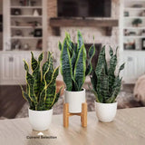 Artificial Snake Plant in White Pot – Faux Sansevieria Trifasciata Indoor Potted Plant for Home, Office, Bedroom & Modern Décor