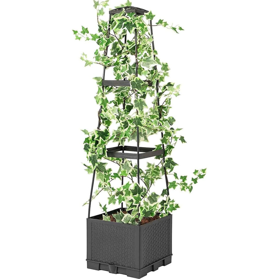 backyard raised planter for vegetables