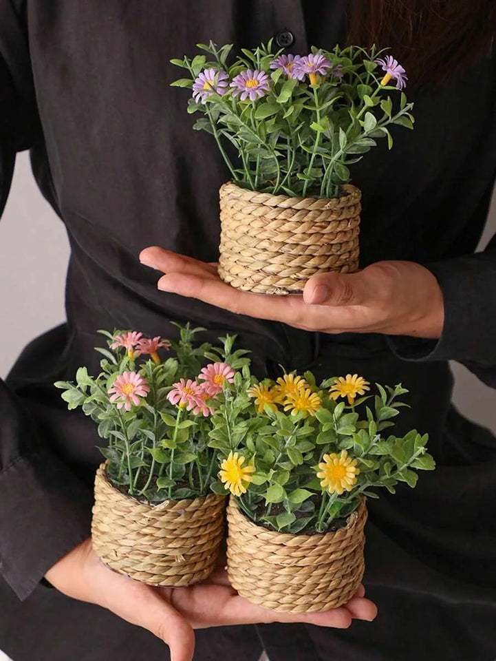 decorative boxwood planter for office desk