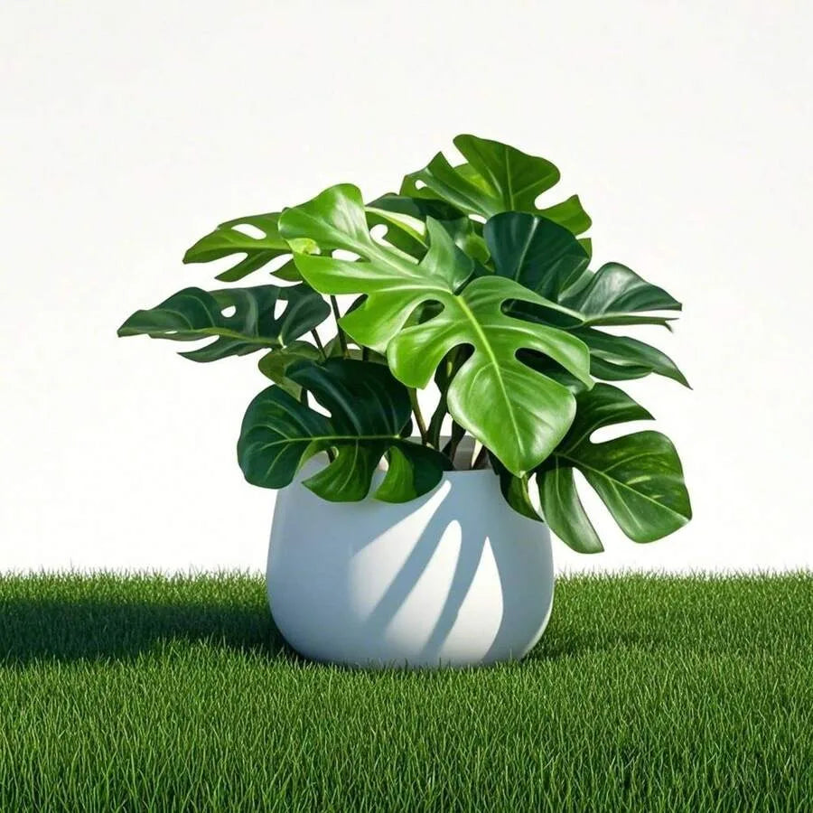 faux turtle back leaf plant for home decor
