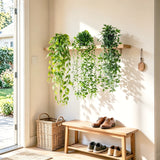 maintenance free indoor hanging plants