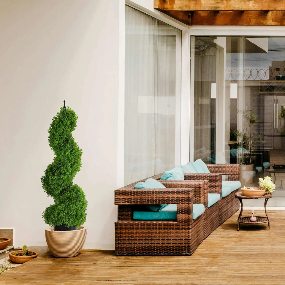 maintenance free outdoor topiary plant