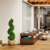 maintenance free outdoor topiary plant