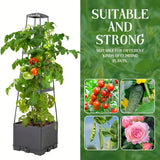 raised garden bed for climbing plants