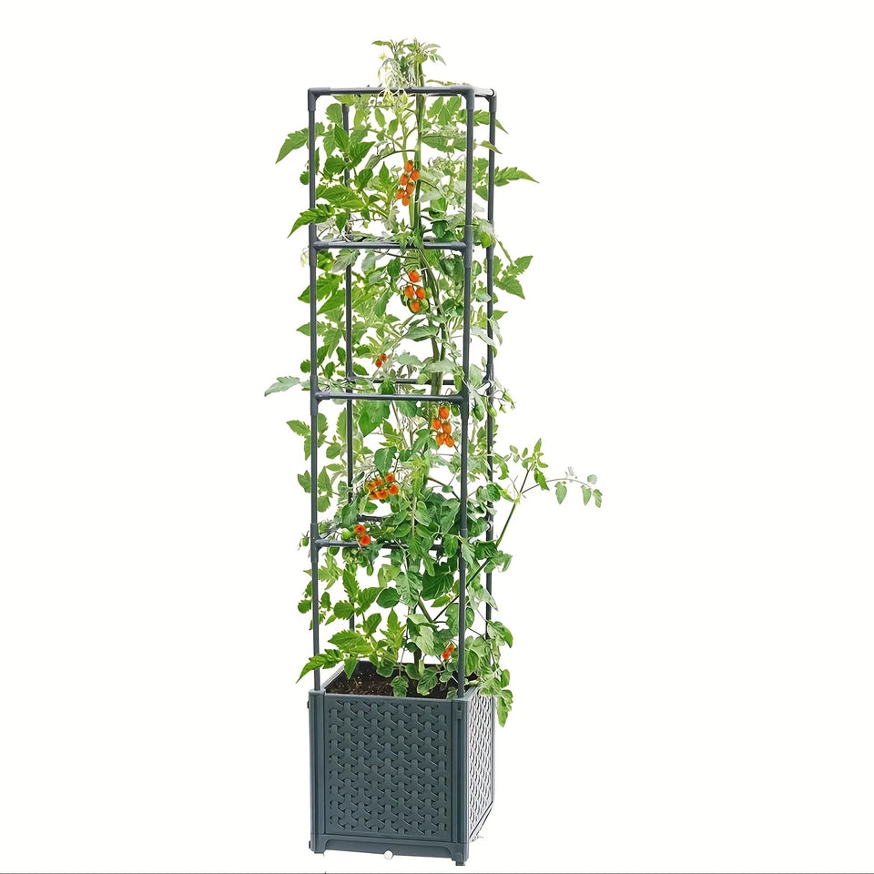 self watering raised garden bed with tomato cage